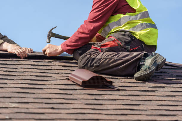 Best Metal Roofing Contractor  in Clarkton, MO